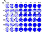 Study of a toroidal-helical pipe as an innovative static mixer in laminar flows